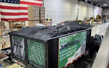 Best Reasons for Your Cleanup Projects to Select Professional Junk Hauling